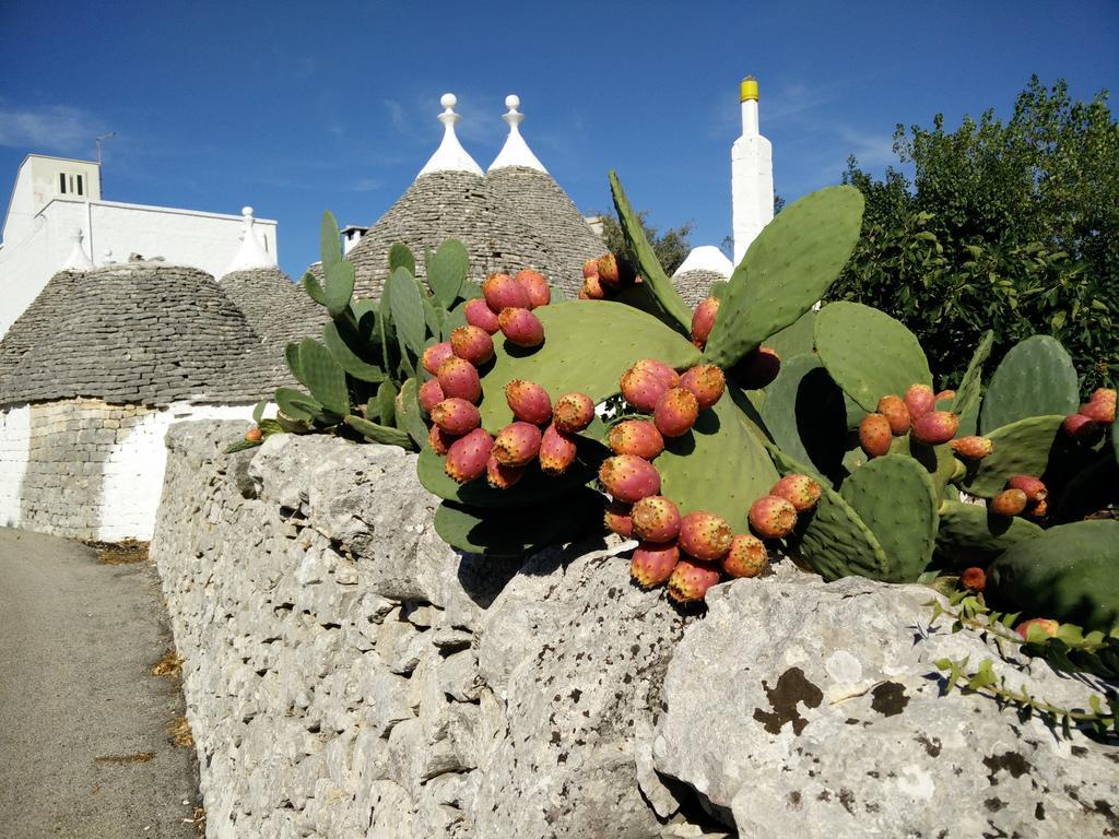 لوكوروتوندو Bed & Breakfast La Collinetta المظهر الخارجي الصورة